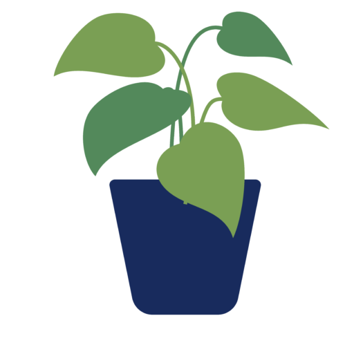 Wellspring Christian Counseling